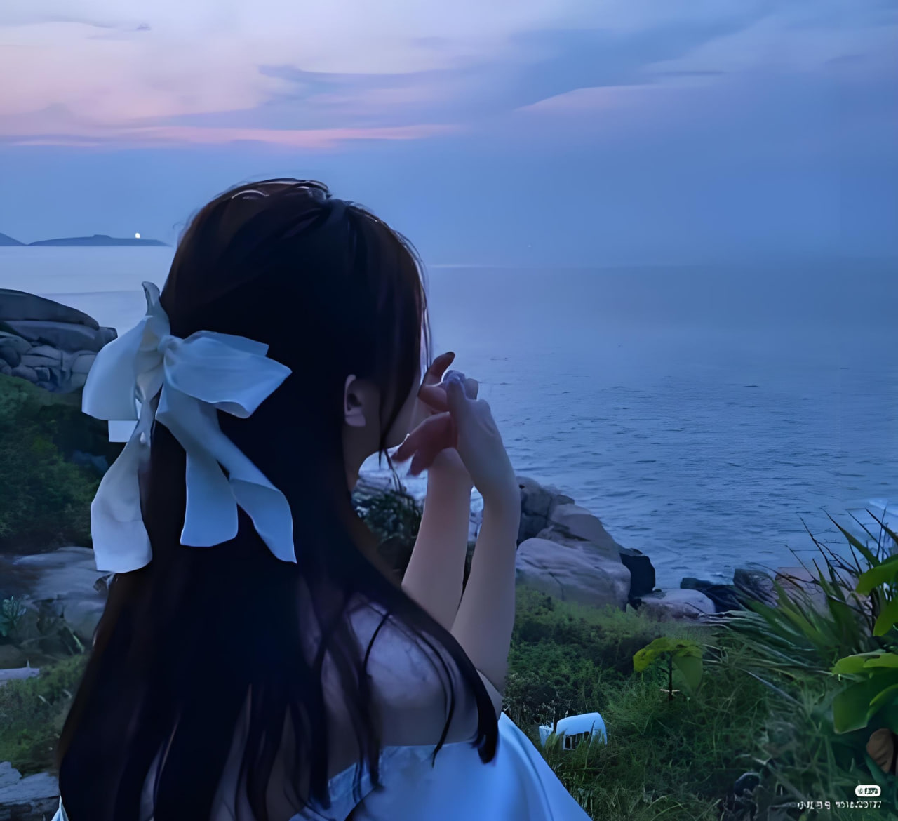蜜桃果醬