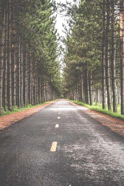 全球創業挑戰賽